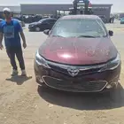 افلون 2014