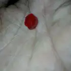 للبيع للصامل بس