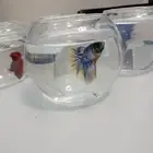 توزيعات سمك الفايتر