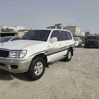 القطيف