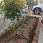 مشتال افندينه لي ازراعه وتنثيك الحديف و الشجار المثمره