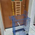 البيع لأعلى سومة