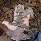 كلمنتان بونتيانك