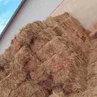 يوجد لدينا ذره الطول 85 سم