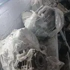 قيرات مستورده