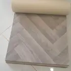 فنيل الهرمي بلجيكي