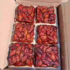 صفري بيشه