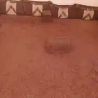 فرش للبيع