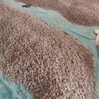 يوجد لدينا تمر منيفي حوالي 500كرتون 13كيلو كرتون سعر