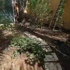 تنسيق حدائق