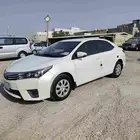 القطيف