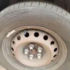 القنفذة القوز جنوط كورلا