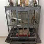شبك طيور زينه كبير يصلح للبغاوات وباقي الطيور