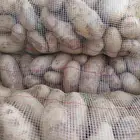 ابوسعود لتوريد البصل والبطاطس وجميع الخضار والفواكه بشكل يزم