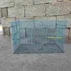 للبيع شبك طيور كبير بي133