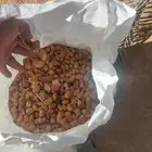 تمر حلال تمر نظيف