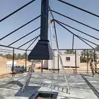 مشبات