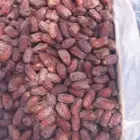 خضري
