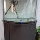 حوض سمك