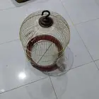 طاوله زجاج وقفت طيور