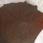 بذور برسيم بلدي