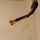 نحاس مكيف سبليت جديد على السوم