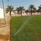 ثيل طبيعي وتوريد وزراعه النخل الاشجار