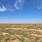 رشاش 7 أبراج للإيجار