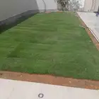 تنسيق حدائق