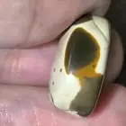عقيق مصور