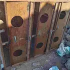 فقاسه تماتيك
