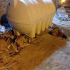 خزان مياه 5000الف لتر الزامل. فيه فتحه في السفل ضغير تنتصلح