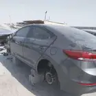 لدينا النتر مديل 2018