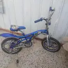 دراجه كوبرا مقاس 16