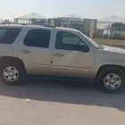 الامركي