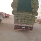 الرياض. رودس. طيب. وناعم. مرخ. العدد. 240. حبه. واصل اي.