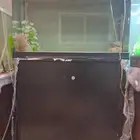 حوض سمك جيبو نظيف كامل