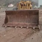 شيول كوزاكي