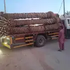 نخل فروخ جثايث فسائل حيش خلاص صقعي سكري مجدول برحي