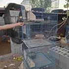 محاكر حمام