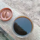 عسل