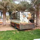 دينه  دينا  نقل  عفش  داخل_جده-وخارجها