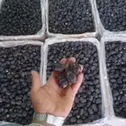 عجوة المدينة انتاج السنة درجة أولى سعر الكيلو 20 ريال (عدد ا