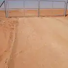 شبوك المزارع واستراحات