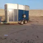 عربة لنقل الخيل راسين الطايف وضواحيها