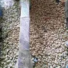 يوجد لدينا جسور سونات2020_2022_2023اصلي وكاله