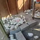 سمان بلدي وكمان تكسس وبيض سمان