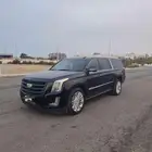 كاديلاك سكليت بلاتينيوم 2019