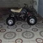 تاجير دباب وسيط حجم 100