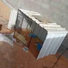 قفص دجاج او حمام فيه طعجات و بس يبيله تنظيف